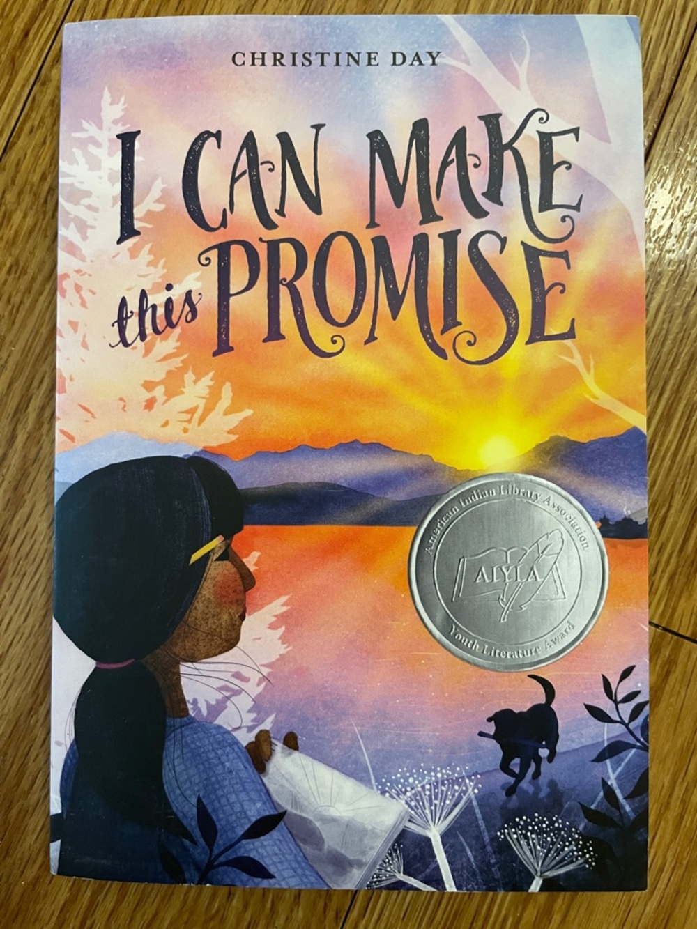 I Can Make This Promise by Christine Day